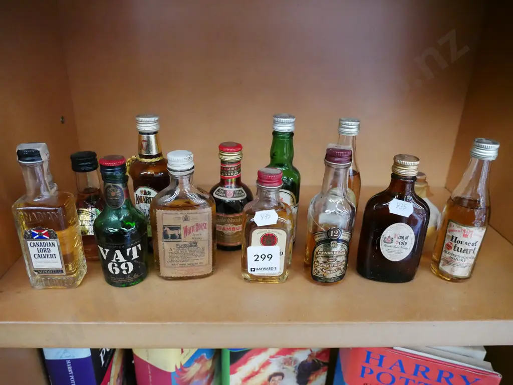 spirit miniatures Image 1++