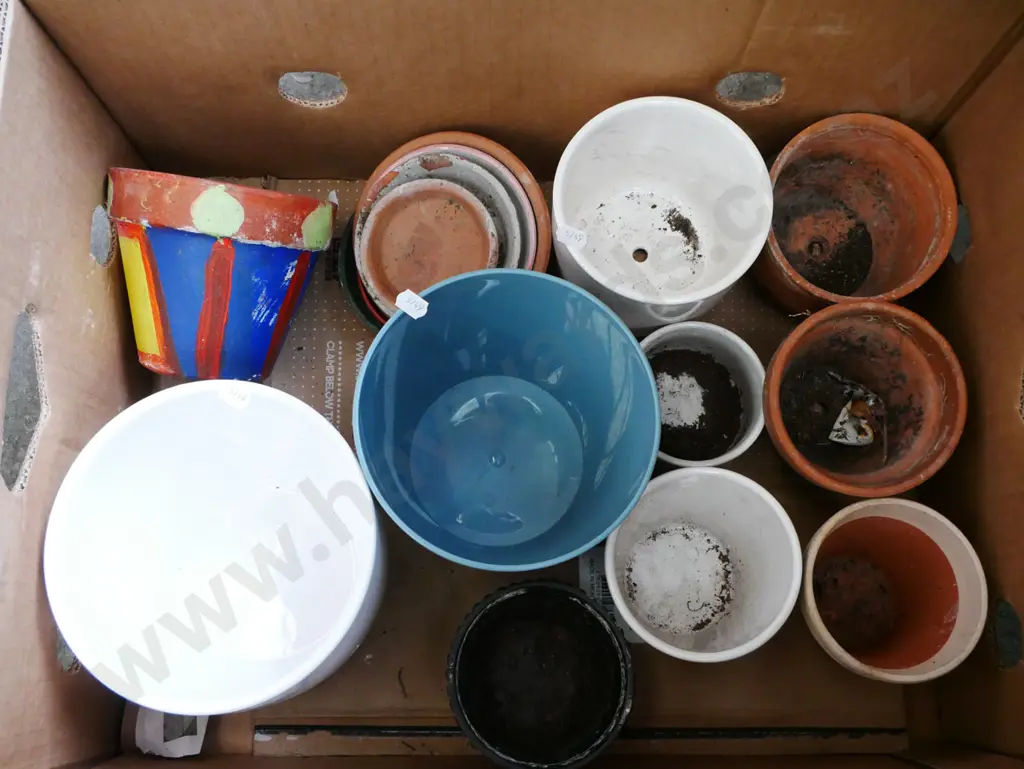 box of garden planters Image 1++