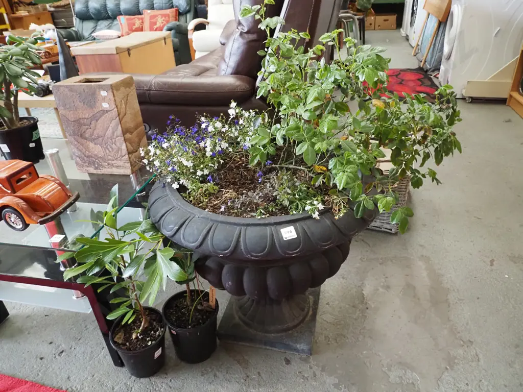 black plastic garden urn with plant Urn H-500 Diam-570 Image 1++