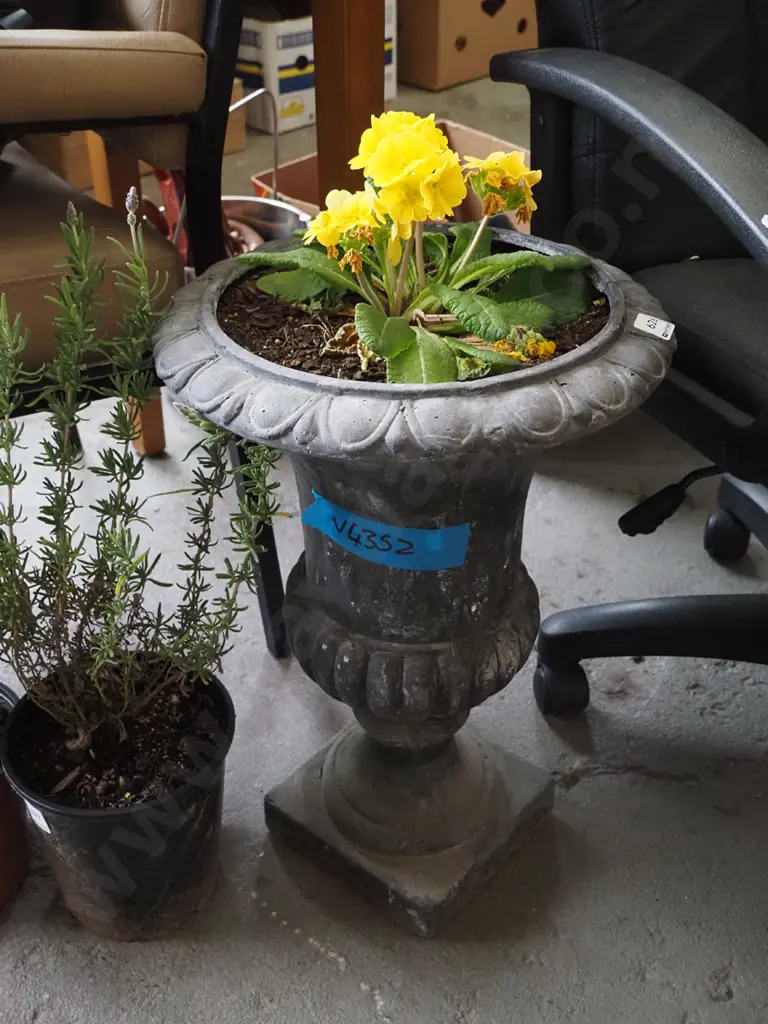 composite urn with plant Urn H-530 Image 1++
