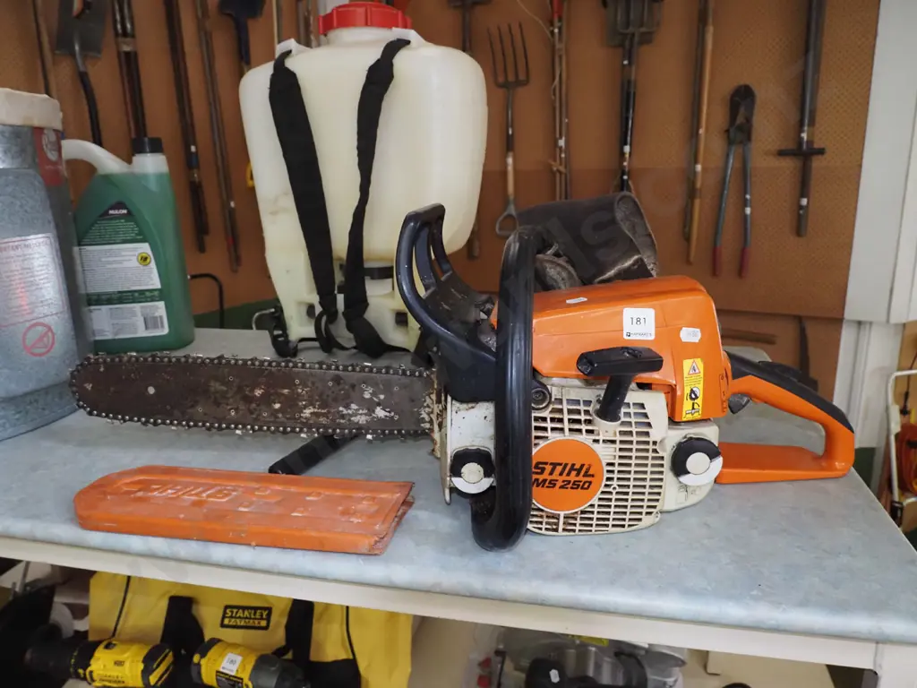 Stihl chainsaw Image 1++