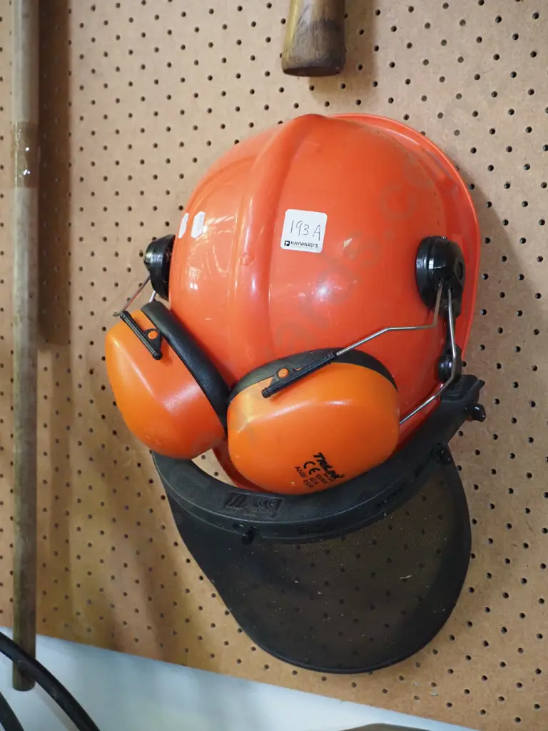 hard hat with mesh visor and built in ear muffs Image 1++