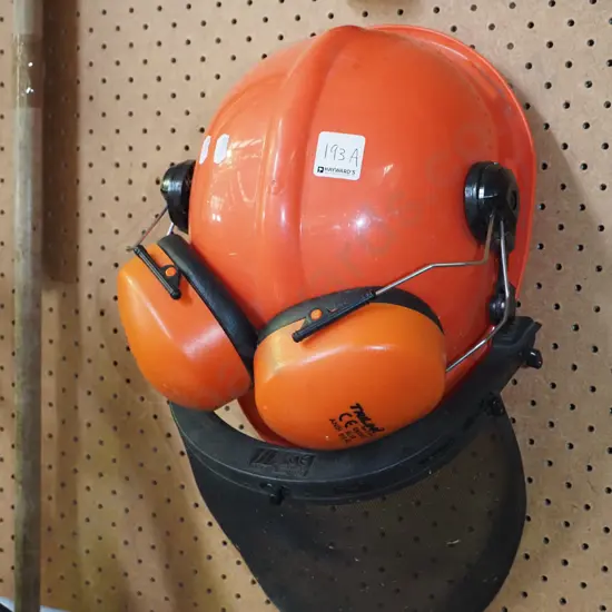 hard hat with mesh visor and built in ear muffs