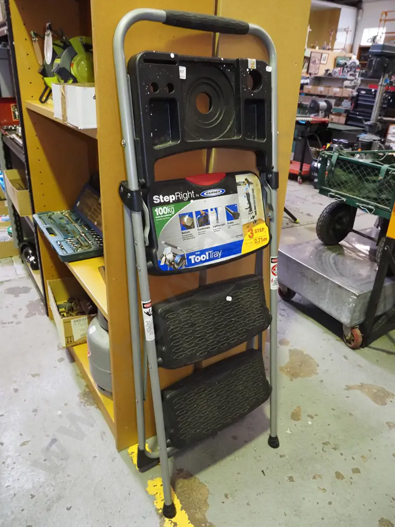 Steprite ladder with tool tray Image 1++