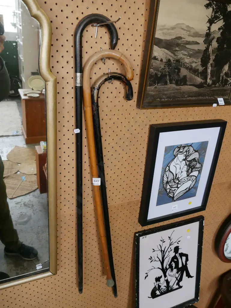 3x walking sticks Image 1++