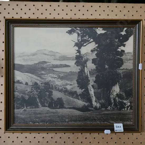black and white photo print - Otago Harbour