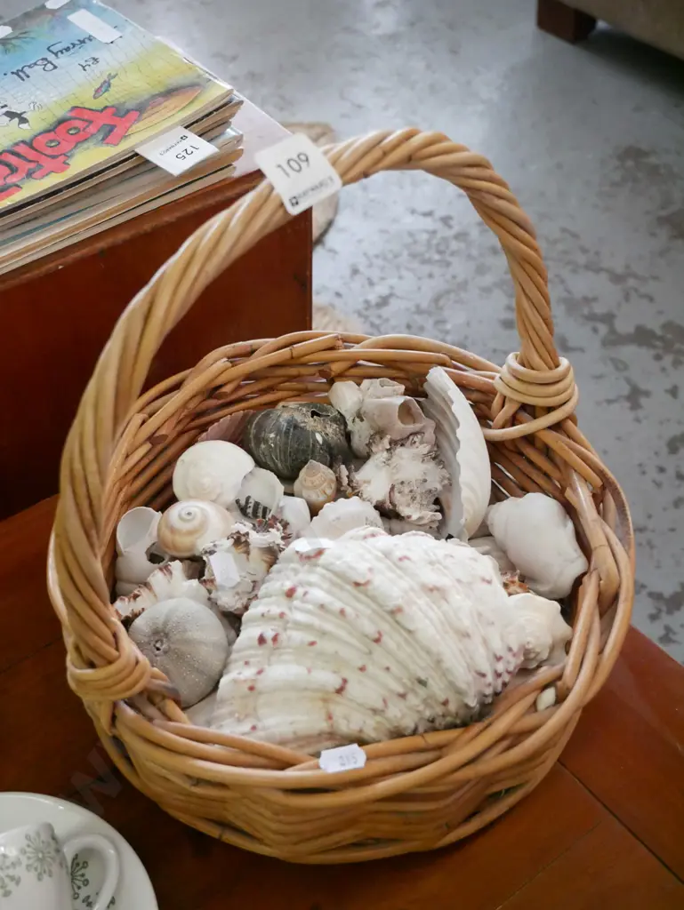 cane basket and seashells Image 1++