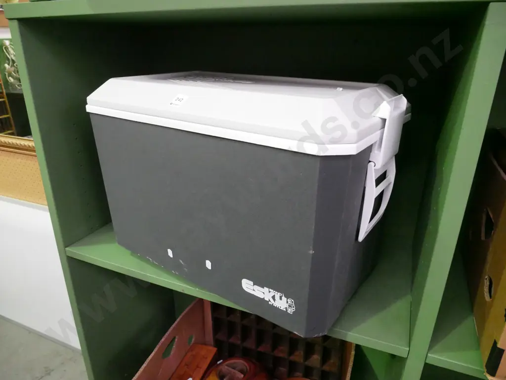 Esky chilly bin Image 1++