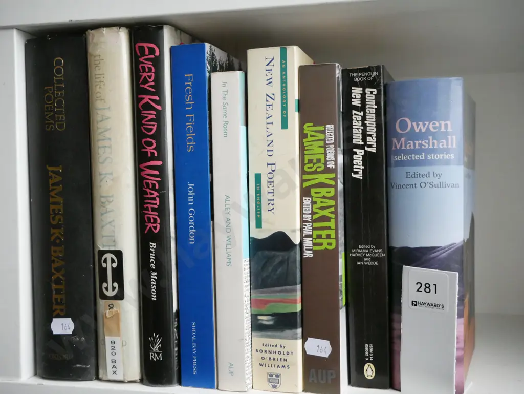 NZ literature books Image 1++