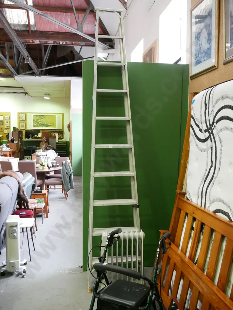 tall 9 step aluminium ladder Image 1++