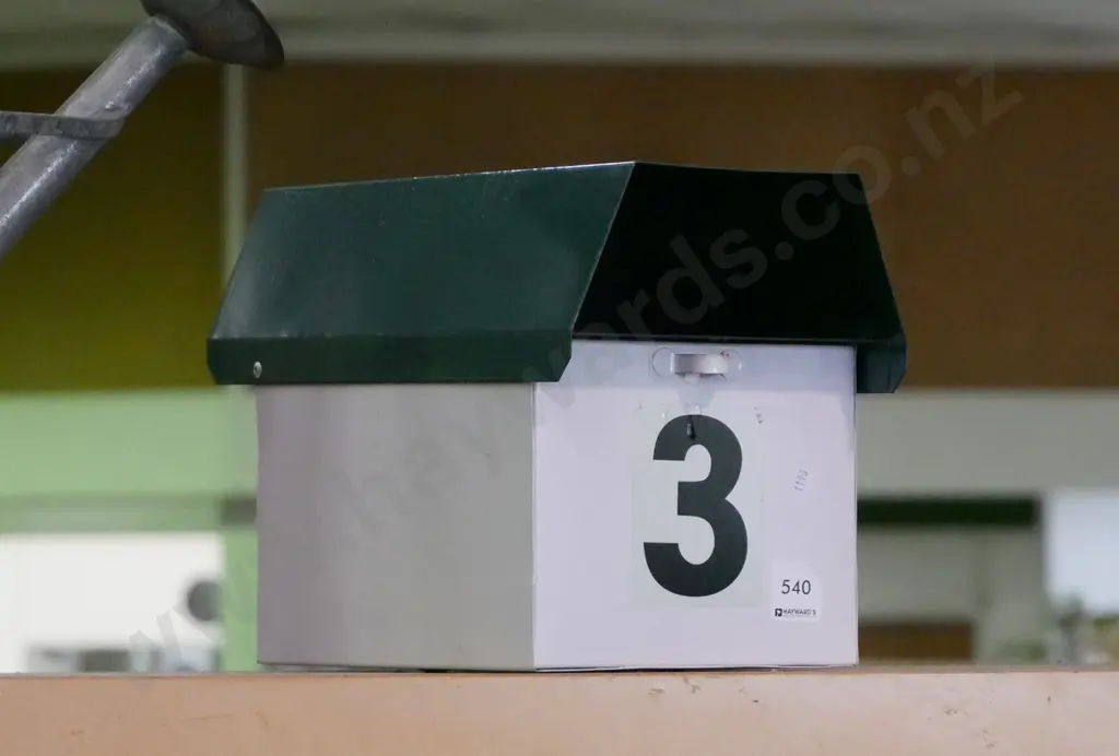 letterbox Image 1++