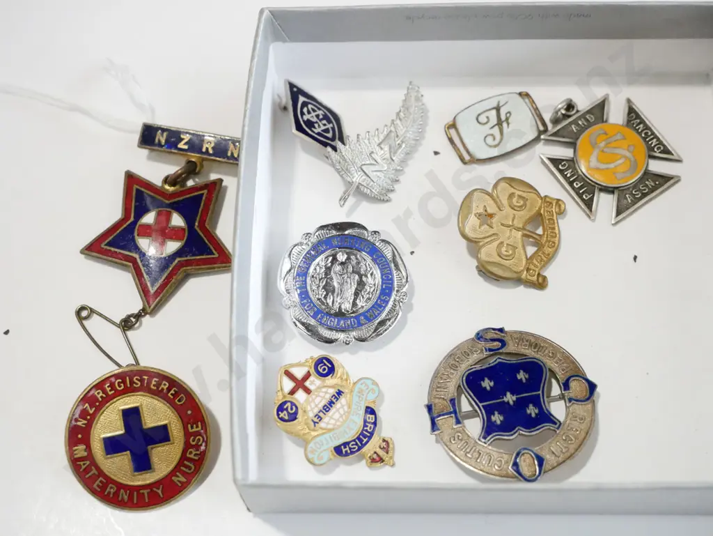 nurses and others badges Image 1++