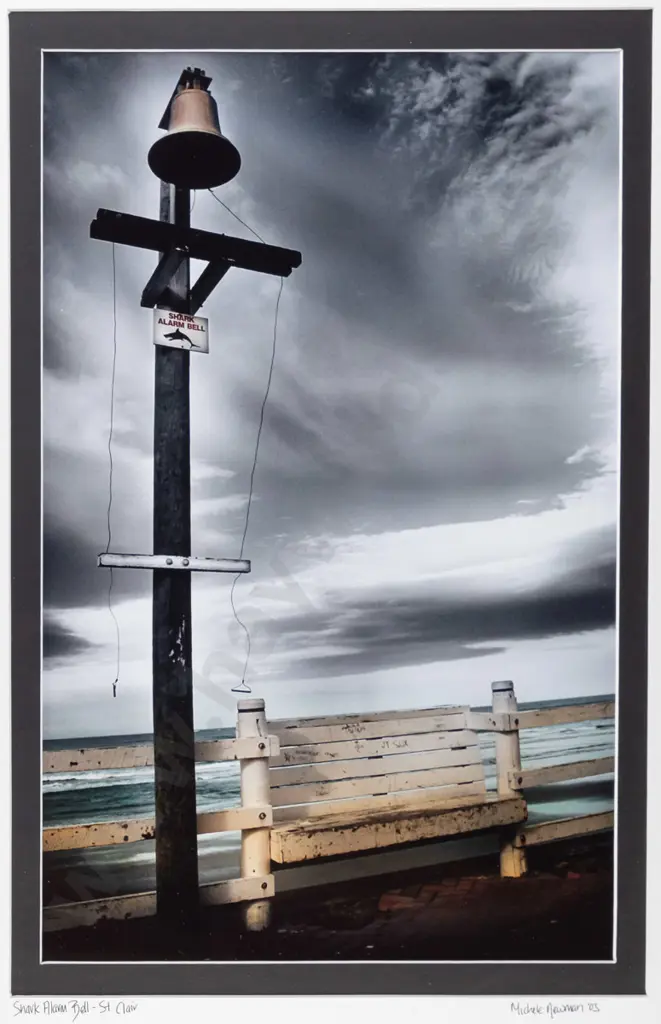 Michele Newman '03 - framed photograph "Shark Alarm Bell- St Clair" H-420 W-260 Image 1++