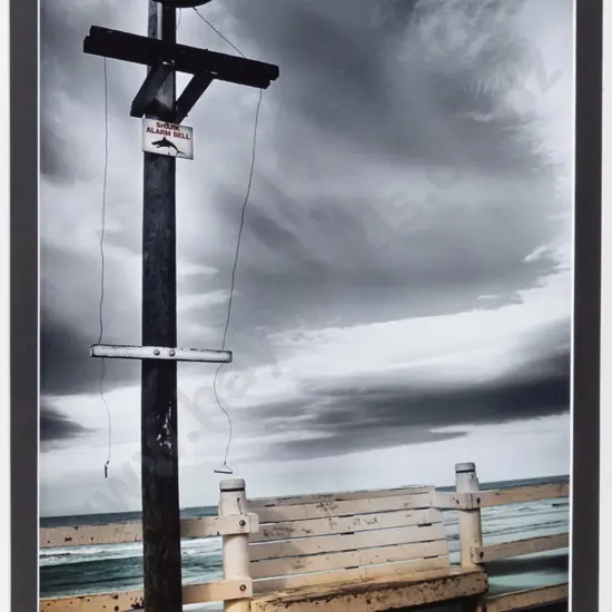 Michele Newman '03 - framed photograph "Shark Alarm Bell- St Clair" H-420 W-260