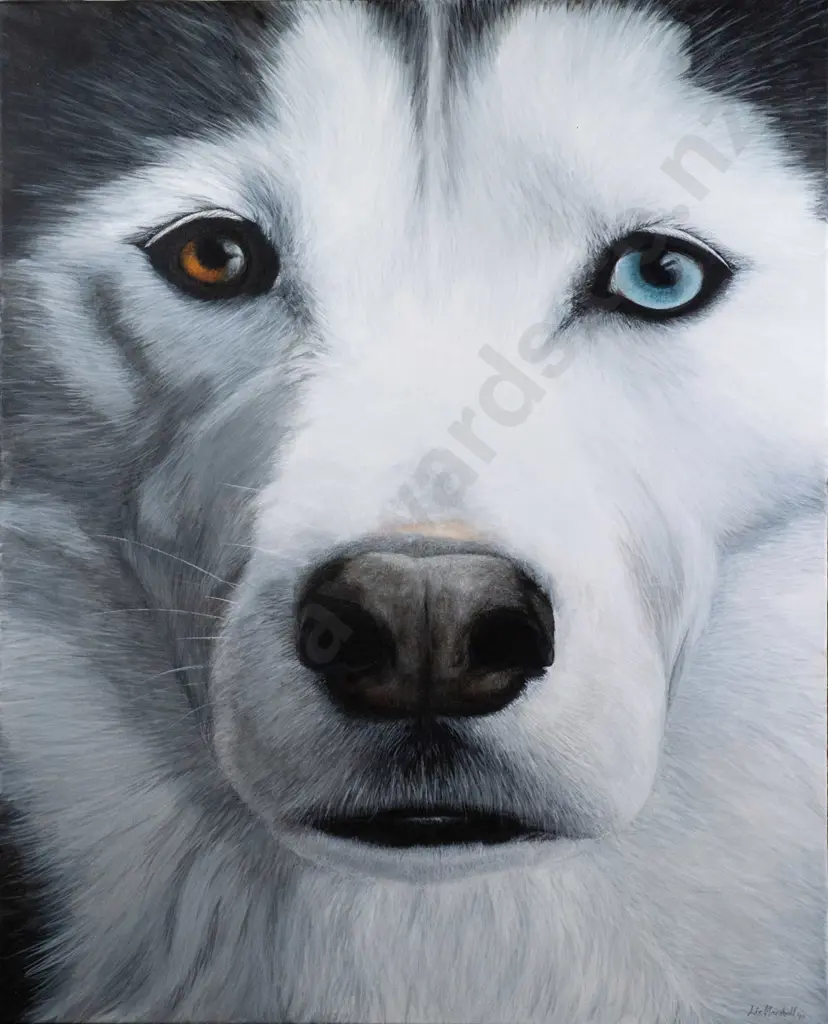 Lisa Marshall '18 - boxed acrylic on canvas - dog H-990 W-800 Image 1++