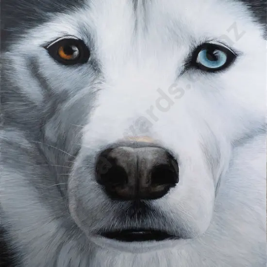 Lisa Marshall '18 - boxed acrylic on canvas - dog H-990 W-800