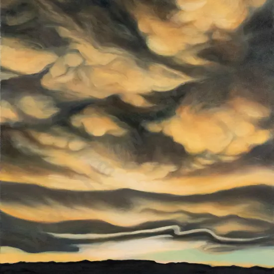 Liz Abbott 2006 - boxed oil on canvas "Billowing Clouds" H-920 W-560