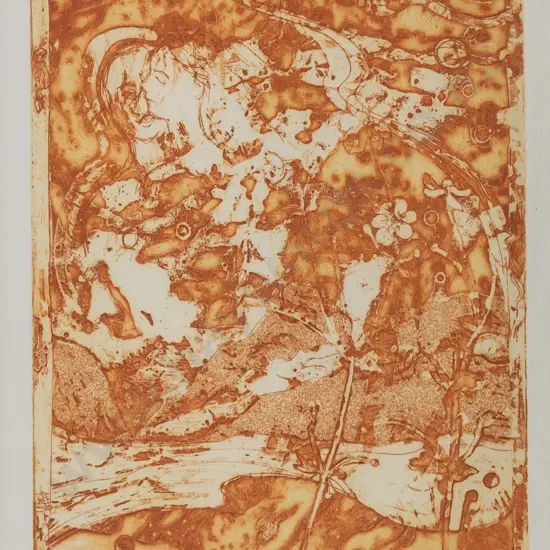 Hillary Thomson '89 - framed print AP II "Second State" H-210 W-160