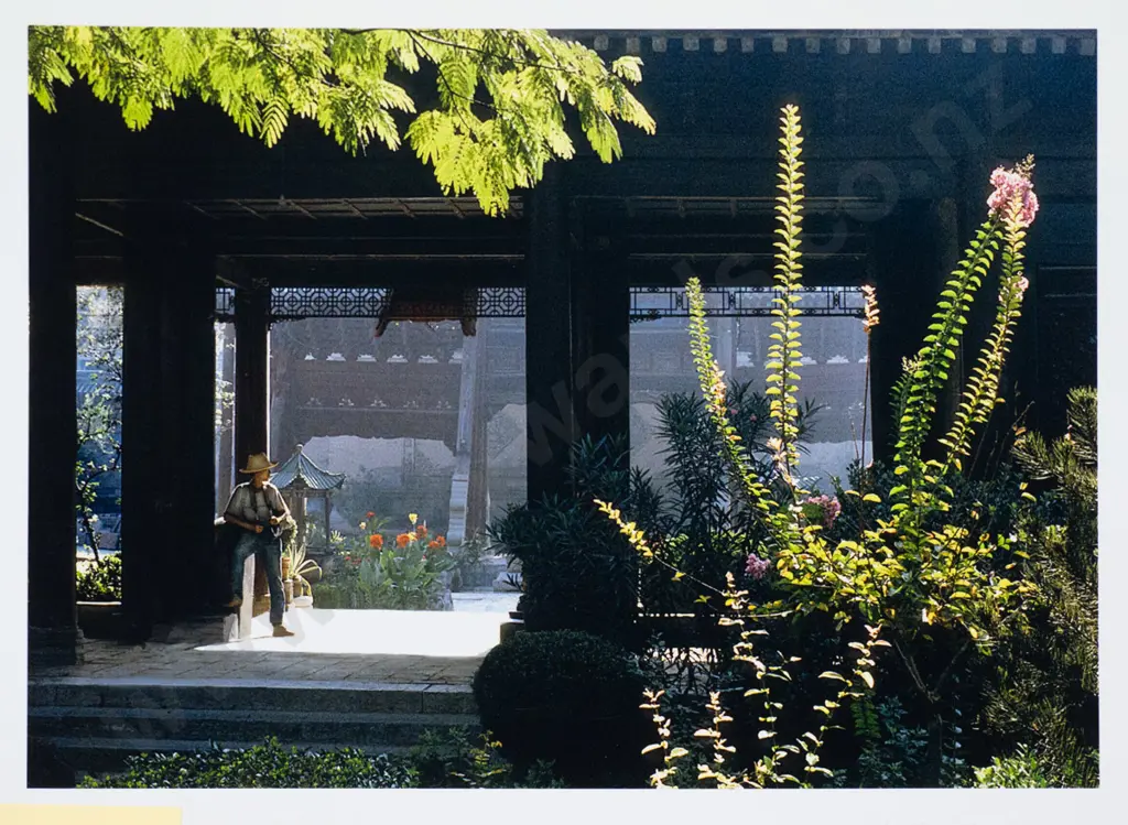 Matheson Beaumont - unframed photograph - Chinese gardens H-160 W-230 Image 1++