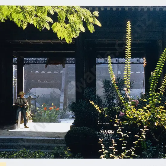 Matheson Beaumont - unframed photograph - Chinese gardens H-160 W-230