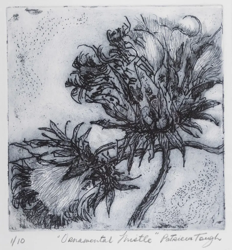 Patricia Tough - framed etching 1/10 "Ornamental Thistle" H-190 W-190 Image 1++