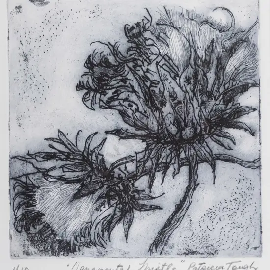 Patricia Tough - framed etching 1/10 "Ornamental Thistle" H-190 W-190