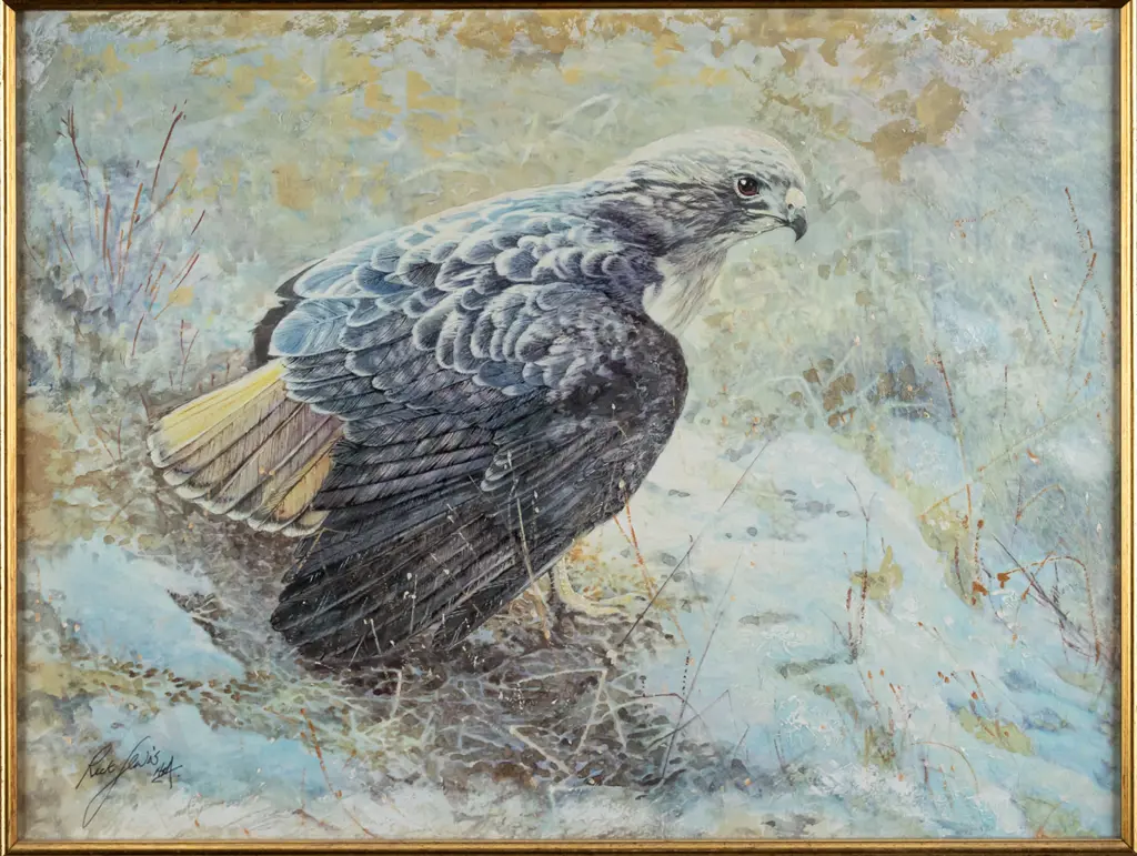 Rick Lewis - framed mixed media "Red Shouldered Hawk" H-320 W-420 Image 1++