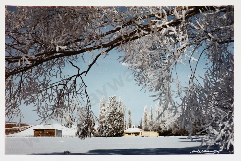 Matheson Beaumont - unframed photograph - winter countryside scene H-245 W-350 Image 1++