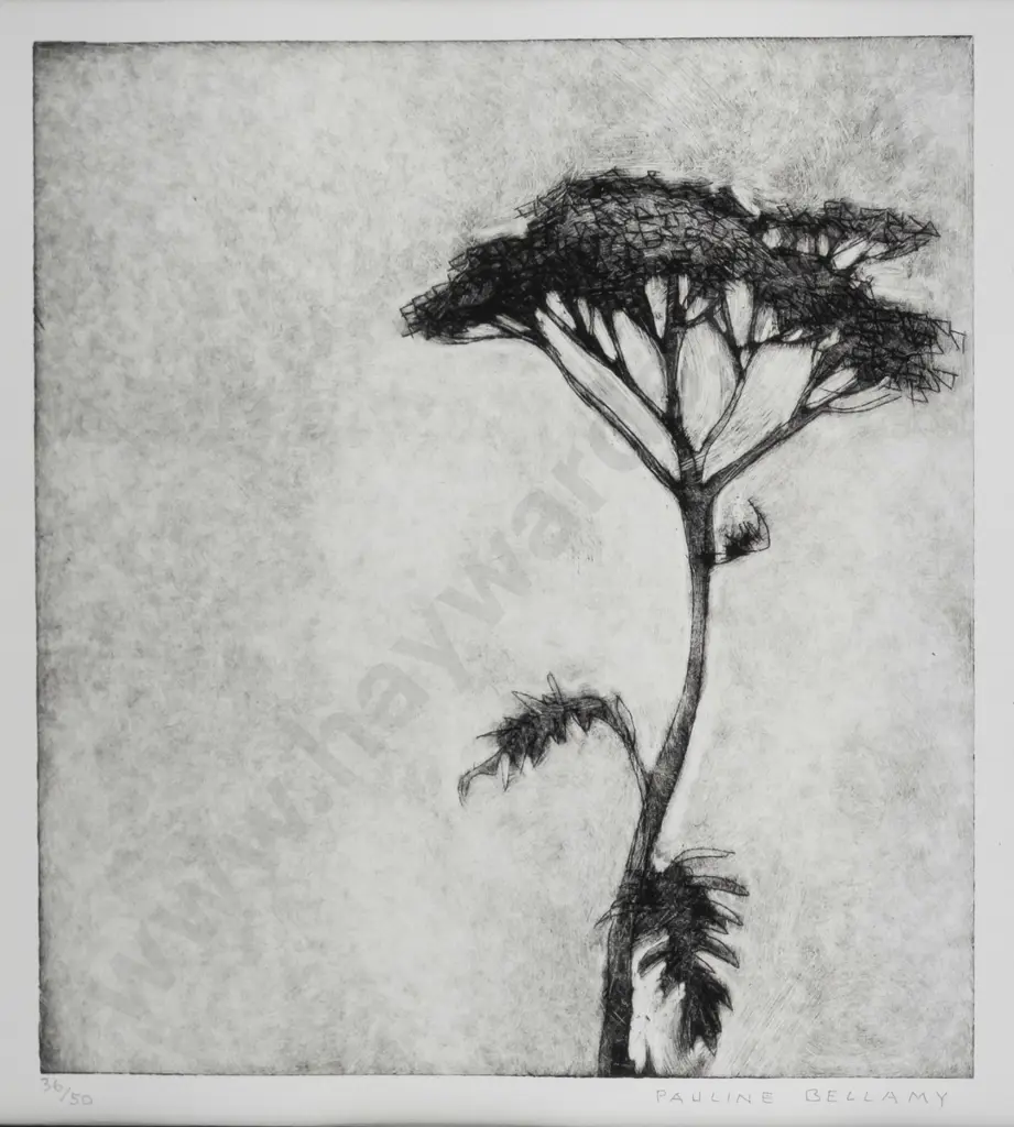 Pauline Bellamy - framed etching 36/50 - tree H-205 W-90 (framing needs attention) Image 1++