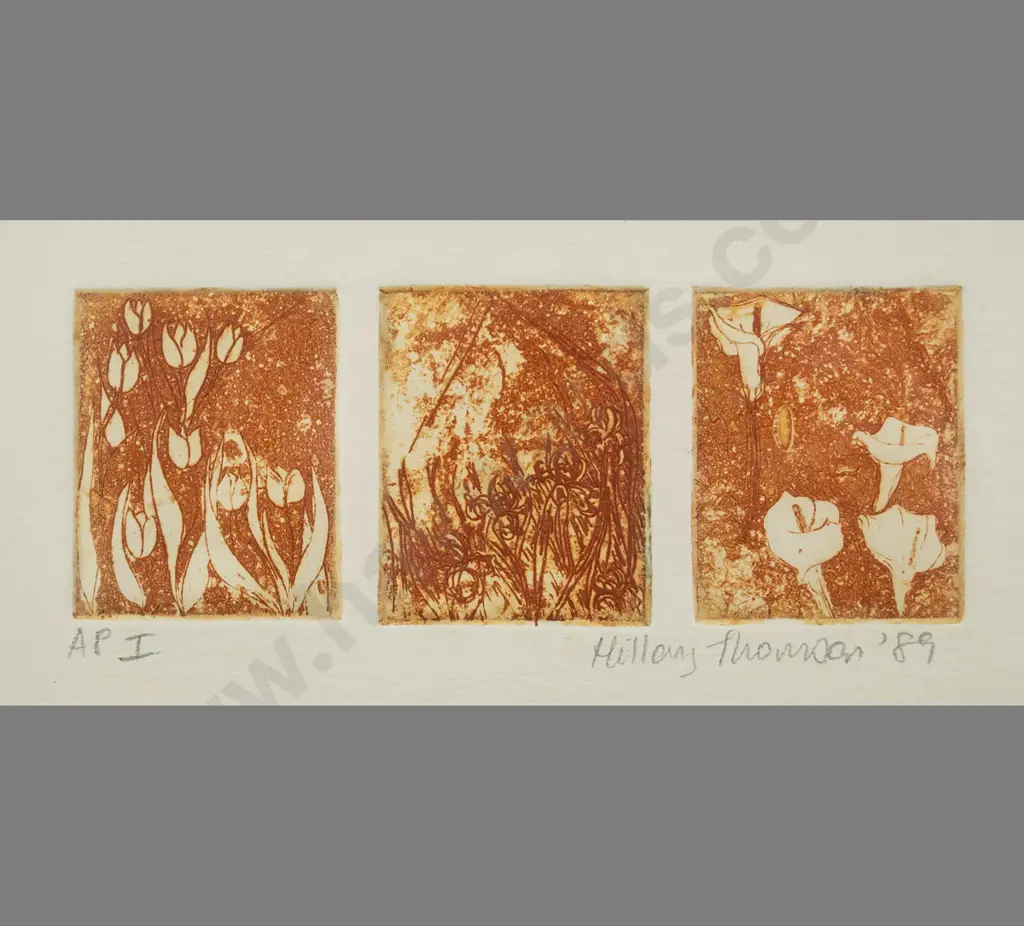 Hillary Thomson 1990 - framed triptych etching AP I - flowers H-55 W-155 Image 1++