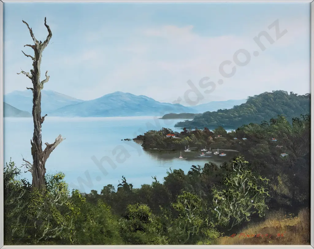 M Finnerty '05 - framed oil "Stewart Island" H-390 W-490 Image 1++