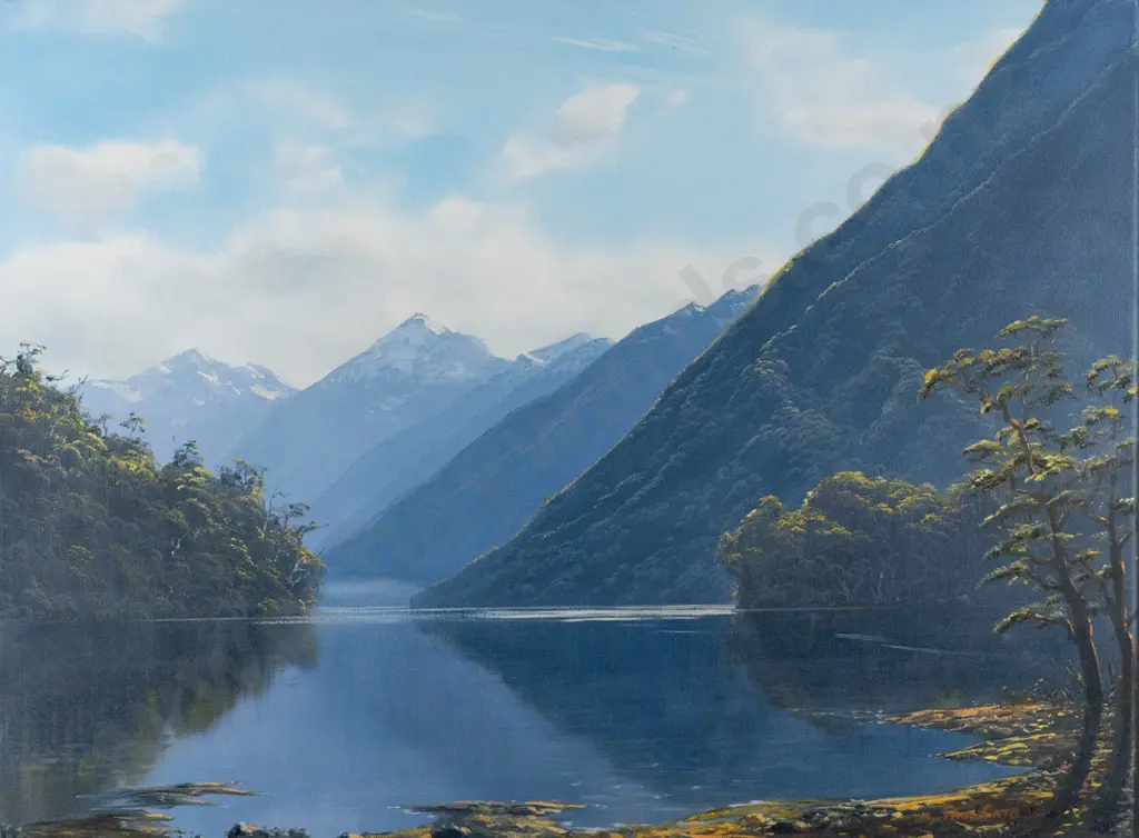 Paul Cato - boxed oil on canvas - Doubtful Sound, Fiordland H-450 W-610 Image 1++