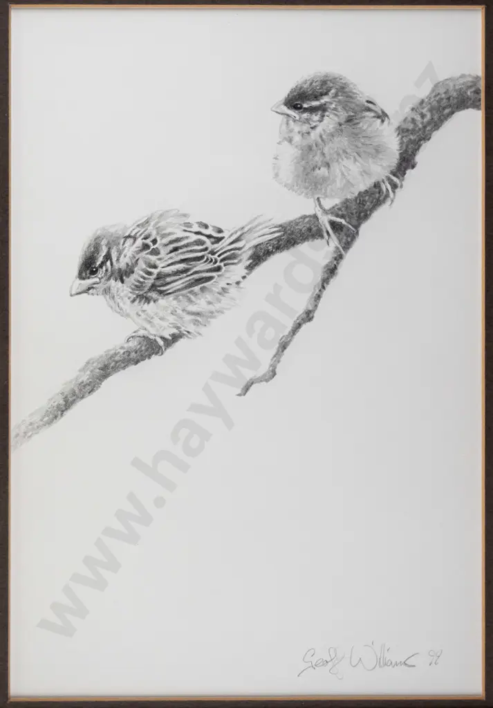 Geoff Williams '99 - framed pencil - birds H-270 W-180 Image 1++