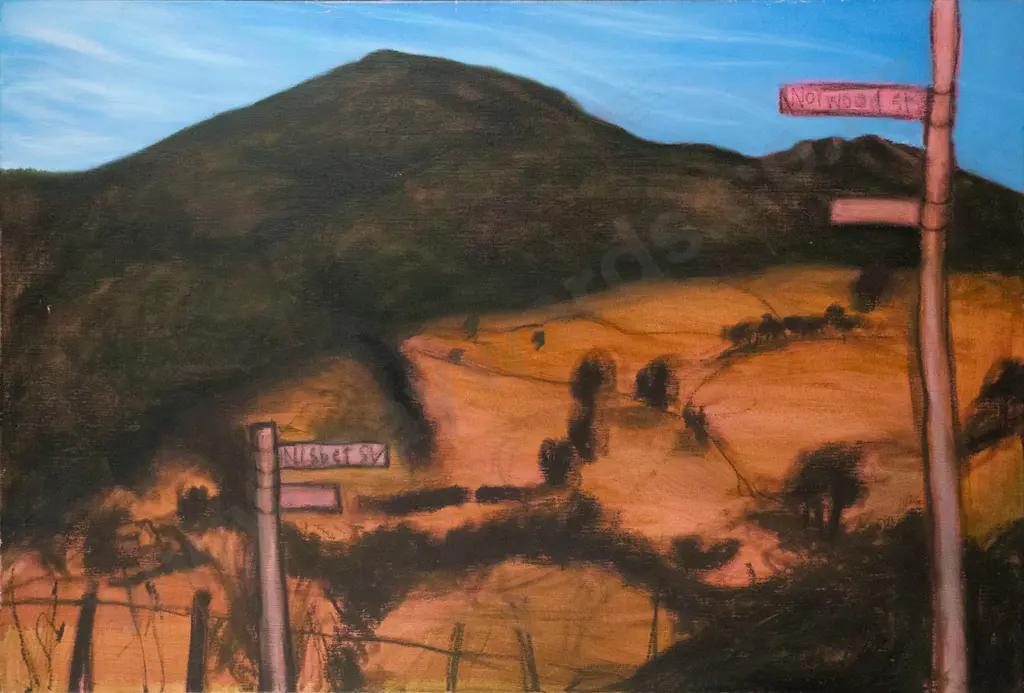 Liz Abbott 2006 - boxed oil on canvas "Mt Cargill" H-710 W-1060 Image 1++