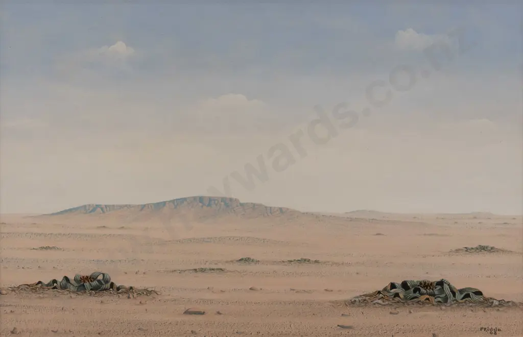 Paul Kiddo 03 -framed oil -plants & landscape Nambia H-260 W-400 Image 1++
