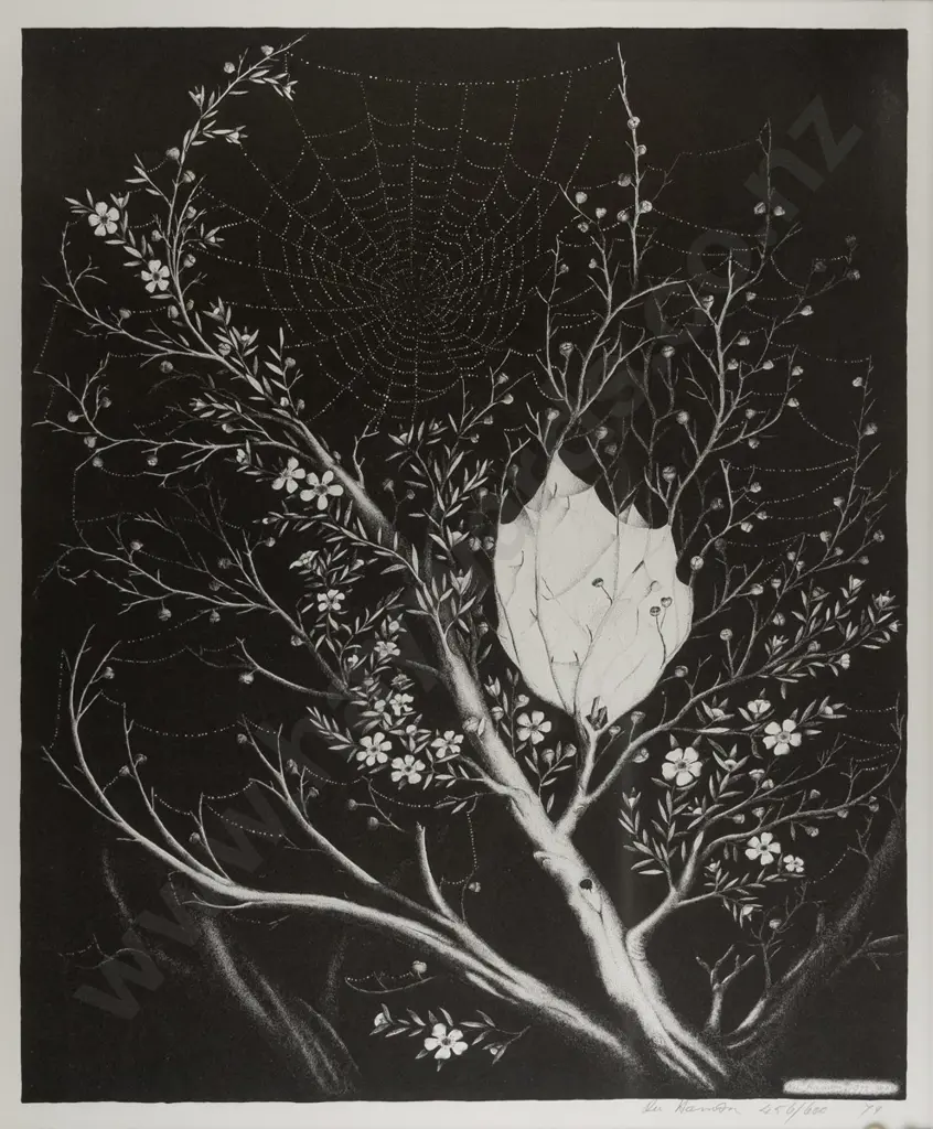 Rei Hamon - framed ltd edition print 456/600 - cobweb on branch H-510 W-410 Image 1++