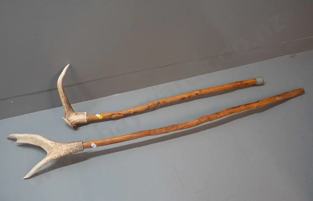 2 walking sticks with antler handles - longer is L-1300 Image 1++