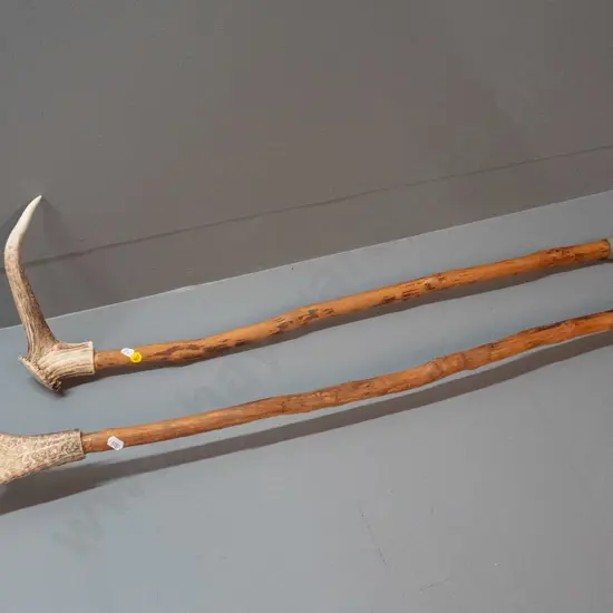 2 walking sticks with antler handles - longer is L-1300