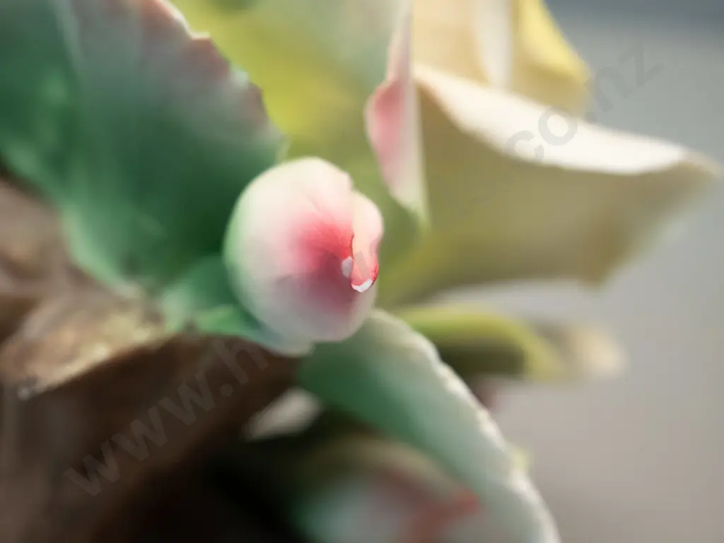 pair of Capodimonte Italian roses - small chips to one bud. H-140 W-160 Image 1++