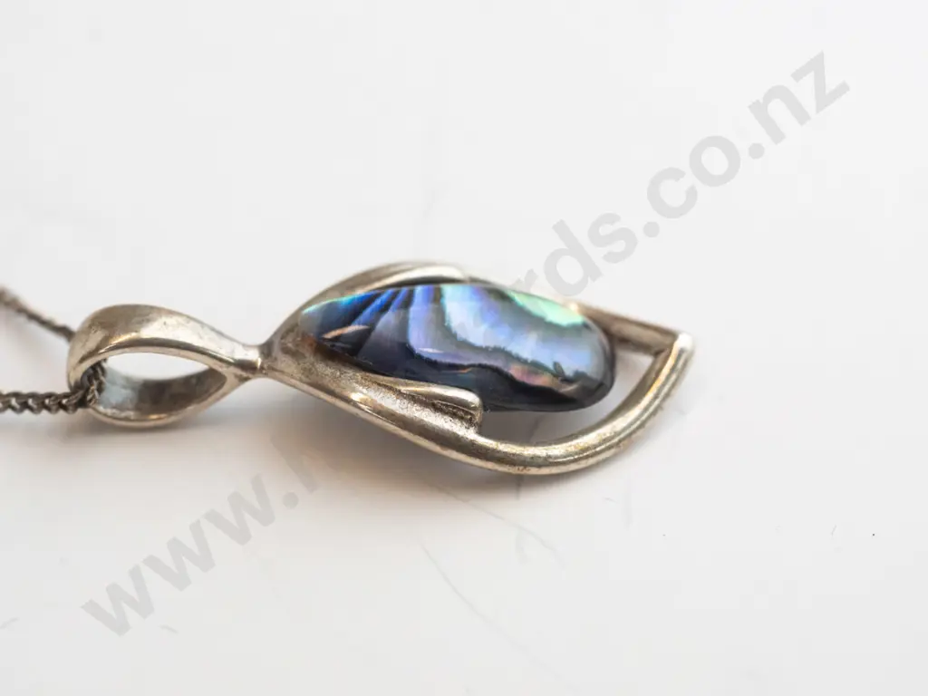 paua shell necklace no mark Image 1++