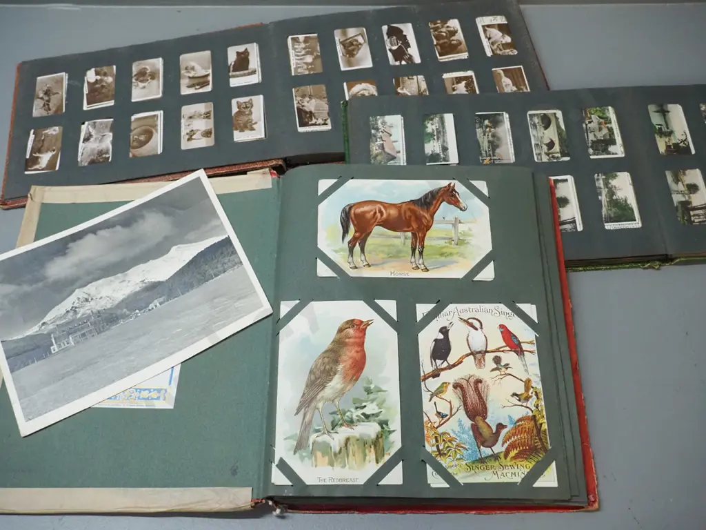 postcard album and 2 cigarette card collector's albums with assorted contents - postcards include Dunedin and other NZ Image 1++