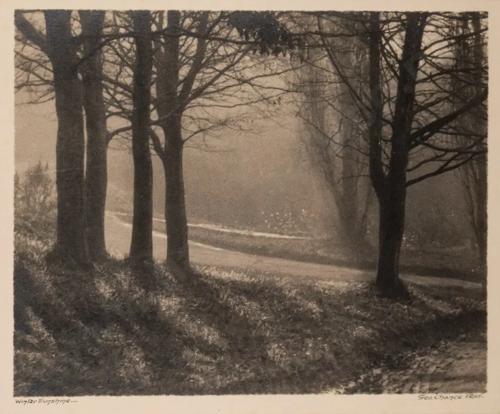 framed vintage George Chance photograph - Winter Sunshine (framing needs attention) H-210 W-240 Image 1++
