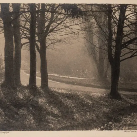 framed vintage George Chance photograph - Winter Sunshine (framing needs attention) H-210 W-240