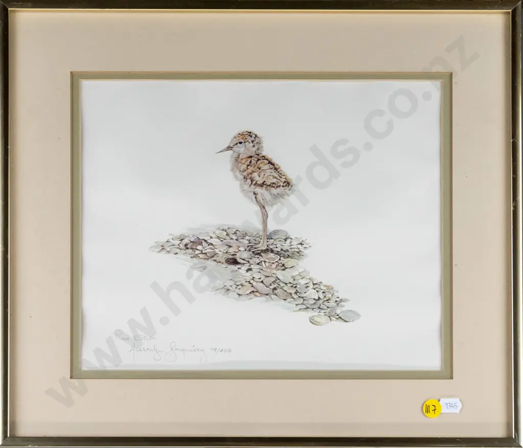 framed Merrilyn Jaquiery ltd edition print "Pied Stilt' (some warping) H-220 W-280 Image 1++