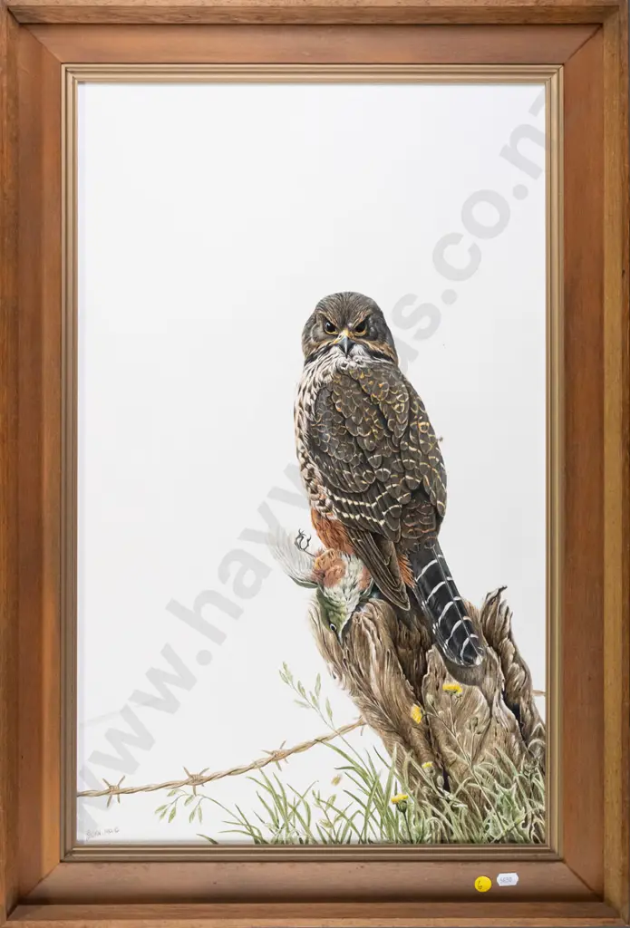 Paydn Brown 1982 - framed watercolour - bird and prey H-640 W-400 Image 1++