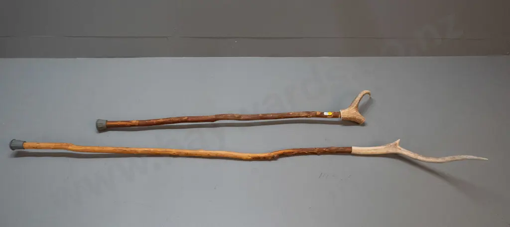 2 walking sticks with antler handles - longer is L-1480 Image 1++