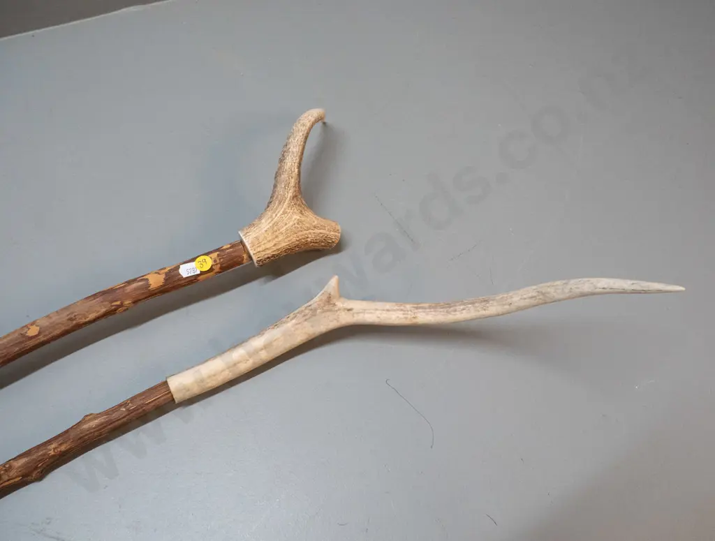2 walking sticks with antler handles - longer is L-1480 Image 1++