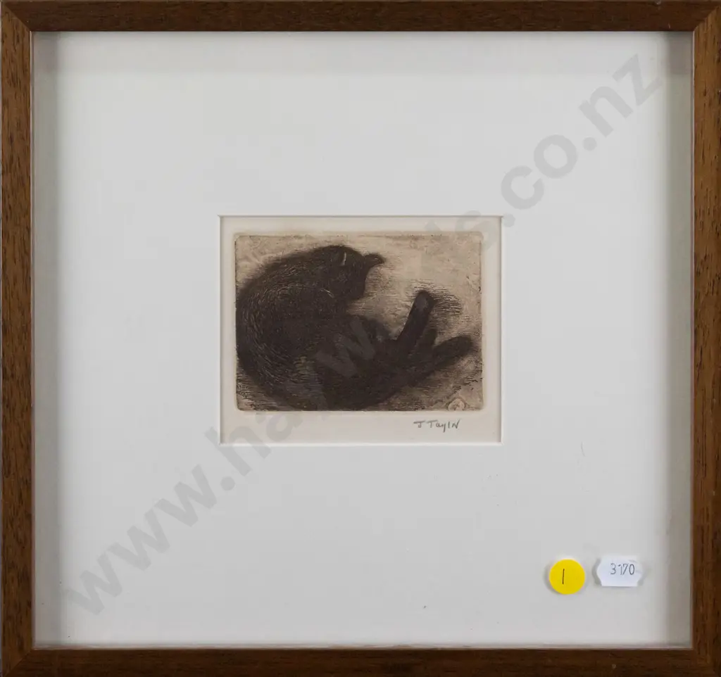 J Taylor - framed etching - sleeping cat H-70 W-90 Image 1++