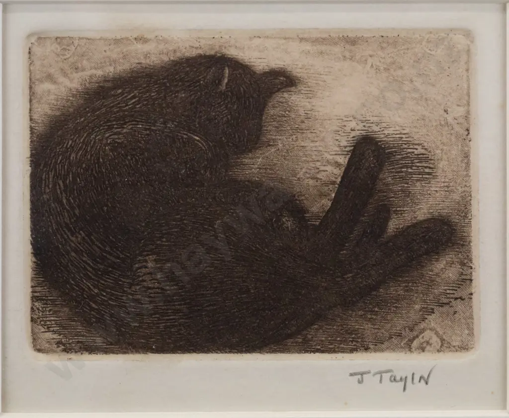 J Taylor - framed etching - sleeping cat H-70 W-90 Image 1++