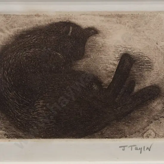 J Taylor - framed etching - sleeping cat H-70 W-90